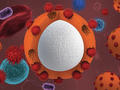 Dinc_Mizaikoff_Header_qm_Q220_500x375