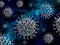 La gripe puede aumentar la propagación de Covid-19