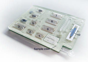 Prototype of a microfluidic cartridge for on-site diagnostics