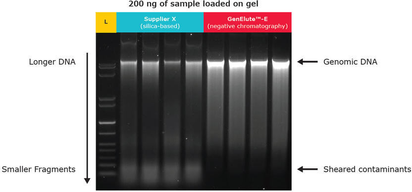 rna purification kits