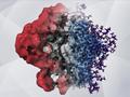 Neue Bildgebungsmethode zeigt den Zuckerschild von HIV in bisher ungekannter Detailtiefe