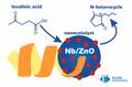 Chemiker der RUDN-Universität schuf einen Katalysator aus Orangenschalen für die Herstellung organischer Verbindungen