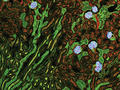 Genenger_Header_qm_0320_500x375