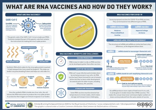 Was sind die COVID-19-RNA-Impfstoffe und wie wirken sie?