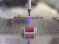 Scientists use novel ink to 3D-print ‘bone’ with living cells