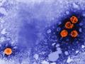 New combination therapy offers chance of curing hepatitis B