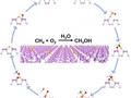 Gold-phosphorus nanosheets catalyzes nature gas to greener energy selectively