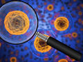 Analyse von Krebsstammzellen auf Einzelzellebene