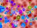 Neues Verfahren zur schnellen Zählung und Identifizierung von Viren