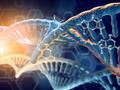 Neues Verfahren zur Herstellung synthetischer DNA