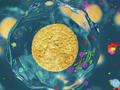Langejuergen_Header_qm_Q121_500x375