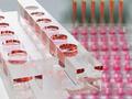 New Biochip Technology for Pharma Research