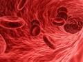 How a corona infection changes blood cells in the long run