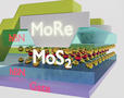 Ultrathin semiconductors electrically connected to superconductors for the first time