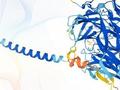 Proteinstrukturen zur Darstellung der mit AlphaFold gewonnenen Daten