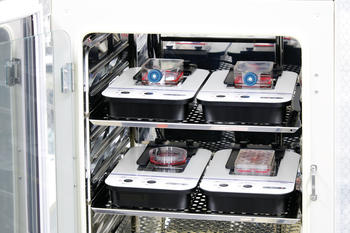 Bis zu 4 Inkubator-Überwachungssystem für parallele Überwachung der Zelllinien