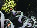 Forscher finden lebenswichtiges Enzym als Schlüssel zur Bekämpfung von Krebs und viralen Infektionen