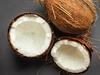 Liderando la sostenibilidad en la industria del coco