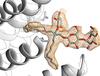 Seifenmoleküle öffnen Proteinkanäle aus der Bakterienmembran