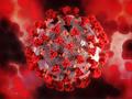 Immunität gegen SARS-CoV-2: Andockstelle des Spikeproteins ist die Achillesferse des Virus