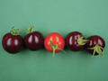 Lila Tomaten durch Farbstoff aus der Roten Beete