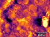 Surface chemistry reveals corrosive secrets
