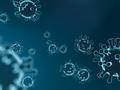 Spin-off supports Dutch and Belgian health organizations in monitoring COVID-19