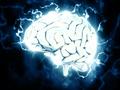 Ursache für das Fortschreiten der Alzheimer-Krankheit im Gehirn identifiziert