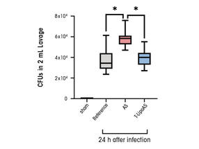 Fig. 2 Untargeted inhibition of PI3Kγ inhibits immune response and defense against the pathogens in sepsis. 