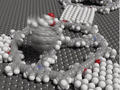 Chemiker designen „molekulares Flaggenmeer“