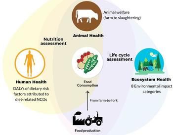 El estudio comparó cuatro dietas en cuanto a su impacto en la salud, el medio ambiente y el bienestar de los animales.
