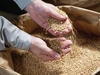 Bei Bio-Mehl und Bio-Getreide stehen hohe Qualitätsansprüche für die Meyermühle an erster Stelle.