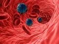 Moderate immune response is more effective against leukemia