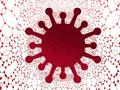 ¿Cómo evitar que los virus se vuelvan virales?