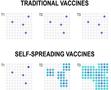 Vacunas para animales con virus autopropagables