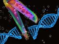 Bayer y Mammoth Biosciences colaboran en una nueva tecnología de edición genética