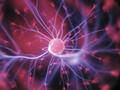Forscher reproduzieren künstlich die Lern- und Vergessensfunktionen des Gehirns mit magnetischen Systemen