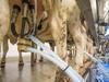 Emmi und Nestlé starten umfassendes Klimaschutz-Projekt mit Milchlieferanten
