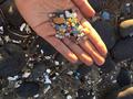 Microplastics and larger fragments