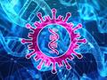 Targeted enzymes destroy virus RNA