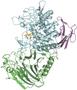 Bisher unbekanntes bakterielles Enzym stellt eine neue Art von biologisch abbaubarem Polymer her