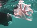 BASF invierte en Oceanworks, una plataforma de abastecimiento de plástico sostenible