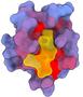Reichlich vorhandene 'Geheimtüren' in menschlichen Proteinen könnten die Arzneimittelforschung neu gestalten