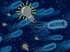 Bacteria generate electricity from methane