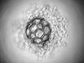 Micromecanismos: una nueva estrategia en ingeniería de tejidos