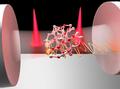 Les vibrations térahertz atomiques résolvent l'énigme des molécules à soliton ultra-court