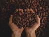 Une nouvelle méthode de transformation du cacao permet de produire un chocolat noir plus fruité et plus 