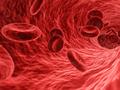 Cómo las células madre de la sangre se mantienen intactas durante toda la vida