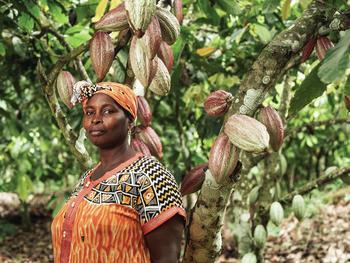 Gnankou Ferdine Koye, Kakaobäuerin in der Elfenbeinküste