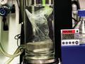 Neu entdecktes Enzym zersetzt PET-Kunststoff in Rekordzeit